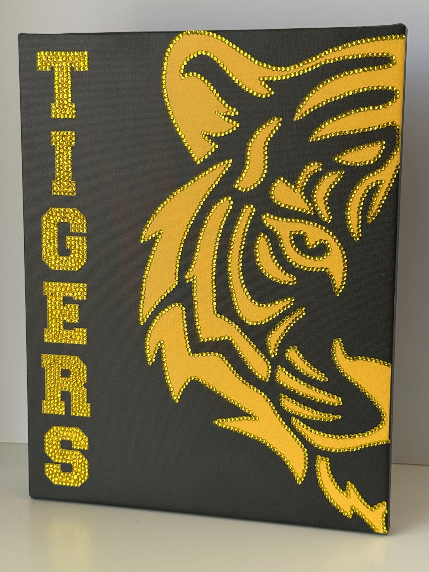 Mizzou Tigers
